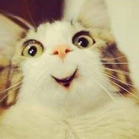 Георгий Мотиенко