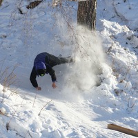 Александр Дик